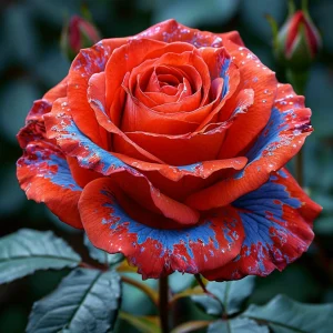 Роза Сикрет Гарден купить по цене от 619р. в интернет-магазине «Посадика» с доставкой почтой в в Туране и по всей России – [изображение №1].