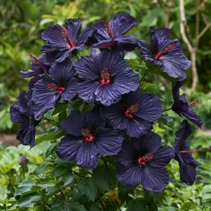 Гибискус Мэджик Момент купить по цене от 699р. в интернет-магазине «Посадика» с доставкой почтой в в Туране и по всей России – [изображение №1].